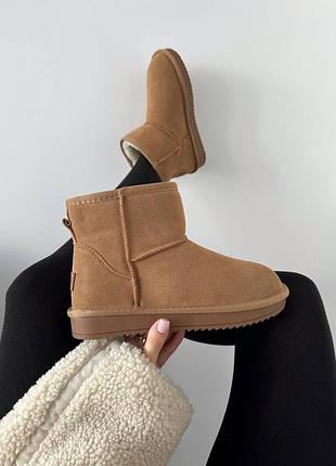 Жіночі уггі ugg mini ginger suede🤎
