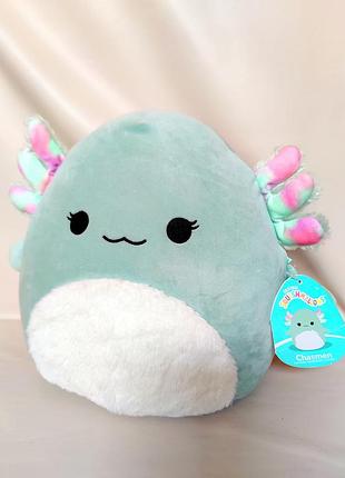 Оригінальний squishmallows chasmen (аксолотль) з бірками