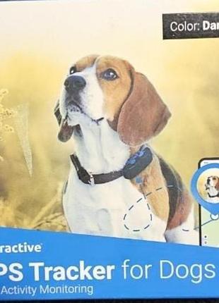 Gps трекер tractive для собак 4g/lte / оригинал / мониторинг активности