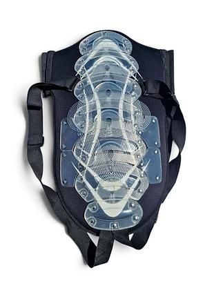 Захист хребта eurohorseline backpro
