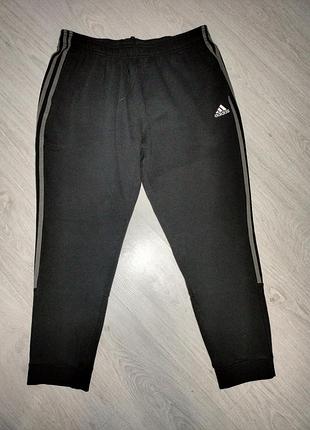 Спортивные штаны adidas