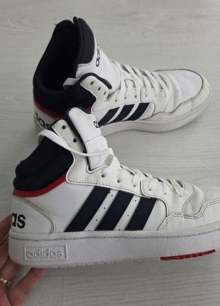 Кросівки чоловічі adidas hoops 3.0 mid високі біло-чорні