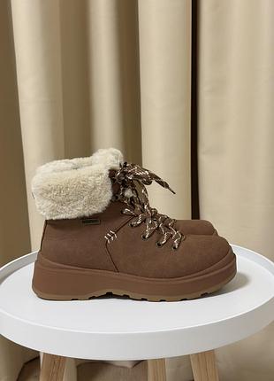 Черевики жіночі skechers park city 168087/csnt коричневі