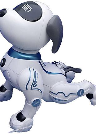 Игрушка на радиоуправлении б/у tk smart-dog тк-73060
