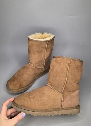 Жіночі ugg