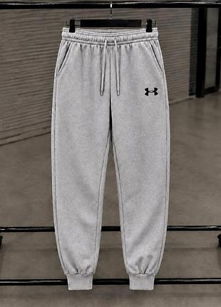Флісові штани under armour l сірі
