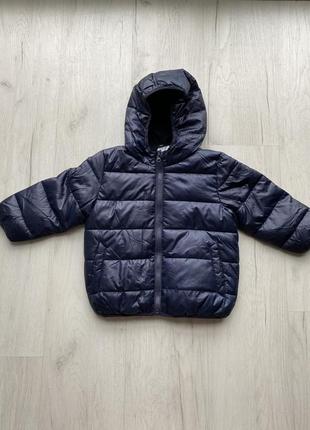 Курка весенняя