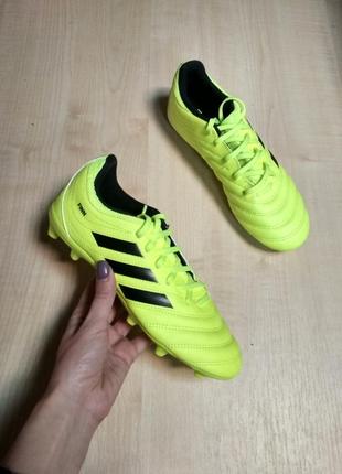 Дитячі футбольні бутси adidas copa 19.3 fg j (f35466) оригінал