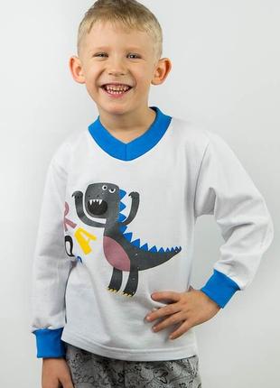 Пижама детская для мальчика пижамка теплая хлопок с начесом2 фото