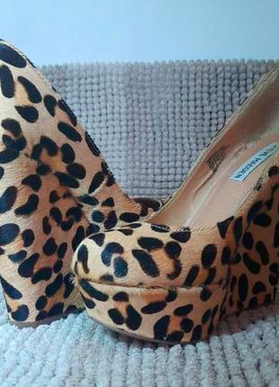 Стильні туфлі леопардові2 фото