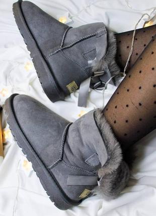 Ugg mini bailey женские сапоги серого цвета с бантиком,натуральная замша и овечья шерсть.3 фото