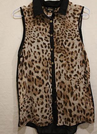 Блуза рубашка без рукава шифон хищный принт