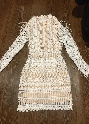 Ошатне оригінальне мереживну сукню missguided 34 розмір