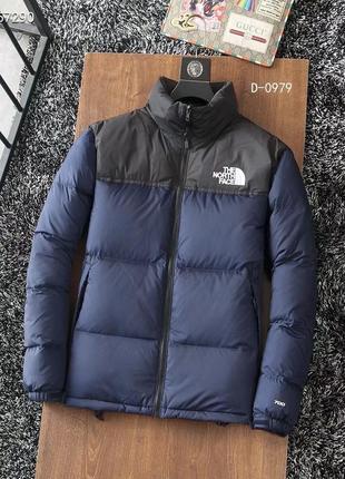 The north face 1996