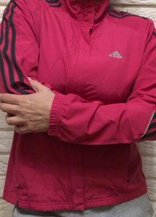 Мастерка adidas