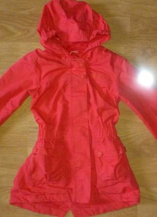 Термо вітровка regatta