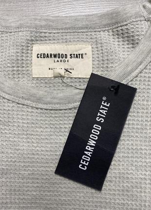 Чоловічий лонгслів cedarwood state 3