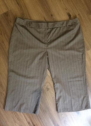 Тонкие бриджи,шорты,кюлоты.большой размер 52