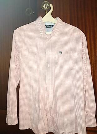 Мужская рубашка o bleu de sport(button-down)м-l