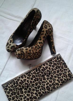 Туфли  замшевые под леопарда1 фото