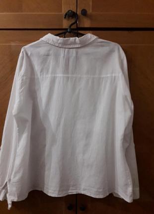 M&s р.16 100% хлопок  рубашка блуза2 фото