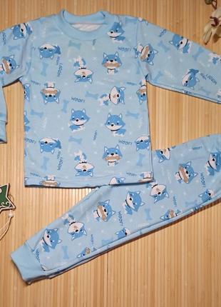 Теплая пижама с начесом для мальчика 3,4,5,6 лет