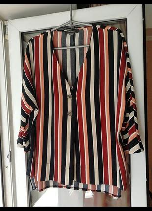 Блуза в смужку