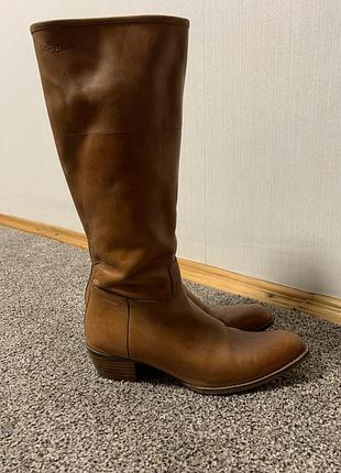 Шкіряні козаки чоботи високі 👢