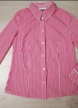 Рубашка. блуза
