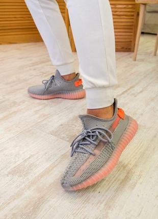 Adidas yeezy boost 350 grey, жіночі сірі кросівки адідас ізі буст6 фото