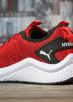 Кросівки жіночі 16922, puma hybrid, червоні