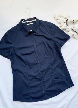Рубашка, сорочка, синяя, синя, короткий рукав, хлопок, бавовна, esprit1 фото