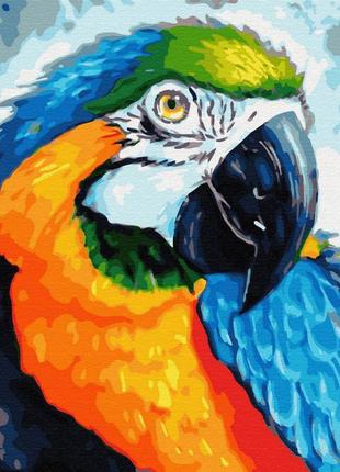 Картина по номерам красочный попугай