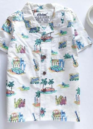 Рубашка в машинках  артикул: 7624