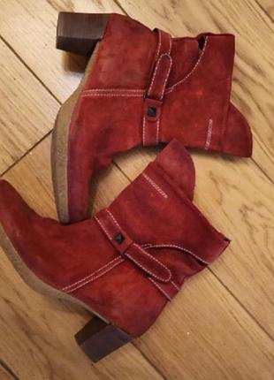 Весняні півчобітки з нубуку