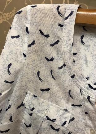 Нереально красивая и стильная брендовая блузка в птичках..100% вискоза.4 фото
