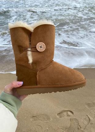 ❄️ ugg bailey brown❄️угги женские с пуговицей, зима мех, коричневые, угги женккие с пуговикой