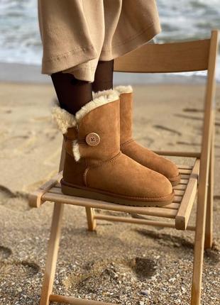 ❄️ ugg bailey brown❄️угги женские с пуговицей, зима мех, коричневые, угги женккие с пуговикой2 фото