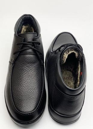 Чоловічі черевики bertoni