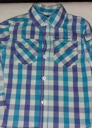 Рубашка для мальчика бренда scamps & boys p.92