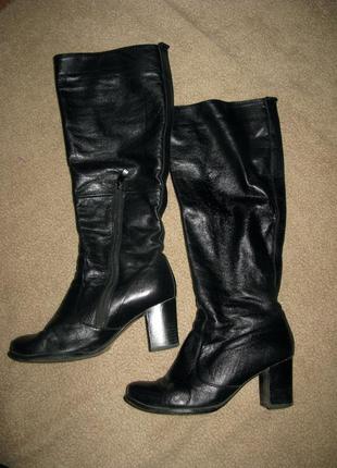 Шкіряні чоботи kluchini