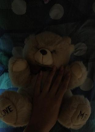 Плюшевий ведмідь