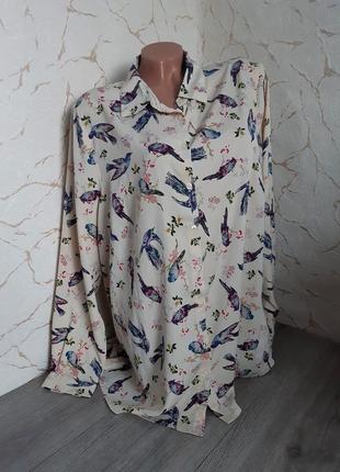 Рубашка сорочка блуза бежевая с принтом размер 52