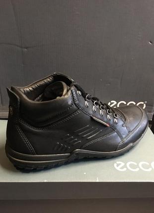 Ecco terrano hotsell