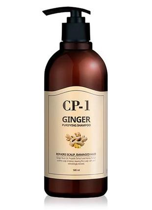 Шампунь для волосся esthetic house cp-1 ginger purifying shampoo, 500 мл