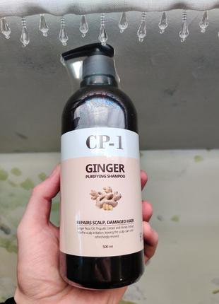 Шампунь для волос esthetic house cp-1 ginger purifying shampoo, 500 мл2 фото