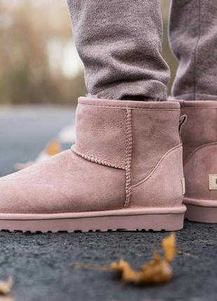 Сапоги ugg classic mini boot2 фото