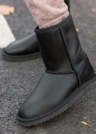 Сапоги черные ugg classic short  boot