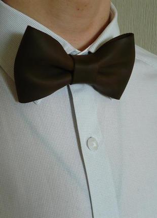 Галстук бабочка 5