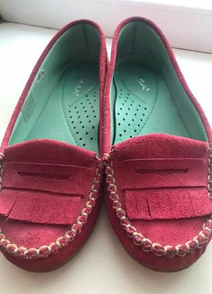 Жіночі туфлі. лофери. замша
